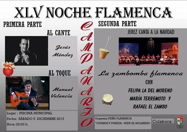 XLV Noche Flamenca de Campanario