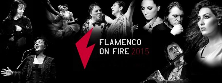 Festival Flamenco On Fire