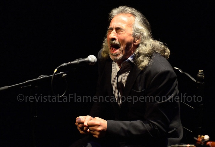 Capullo de Jerez andalucia flamenca