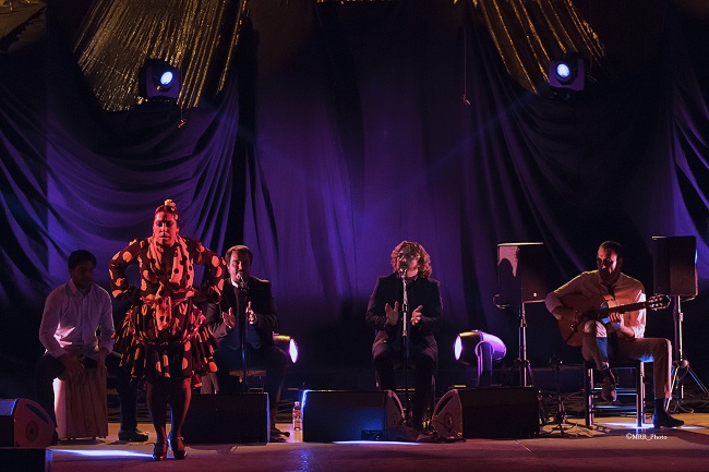 Flamenco MONUMENTAL 2015